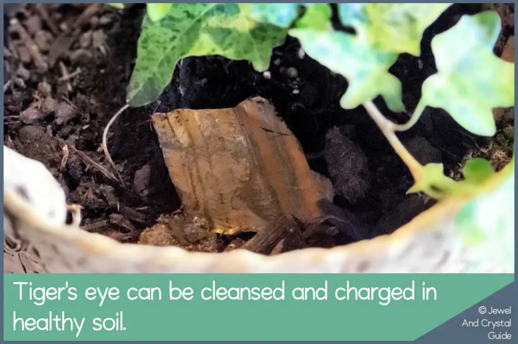 Photo of tiger's eye lying in healthy pot plant soil being charged and cleansed