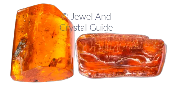 Amber is fossilized resin