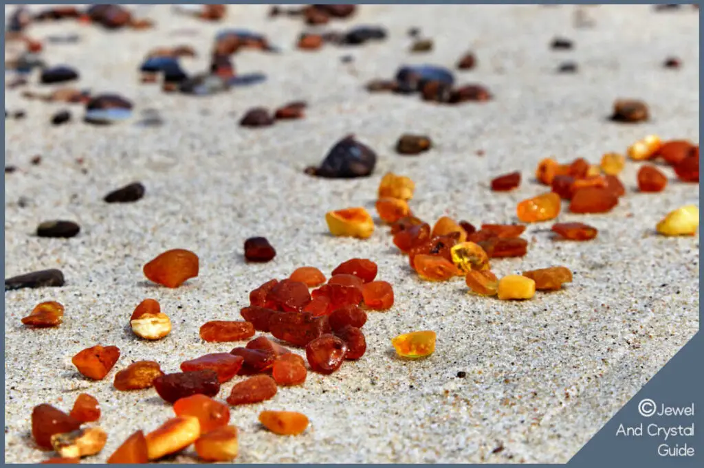 Baltic amber can be picked up on the shores of the Baltic sea