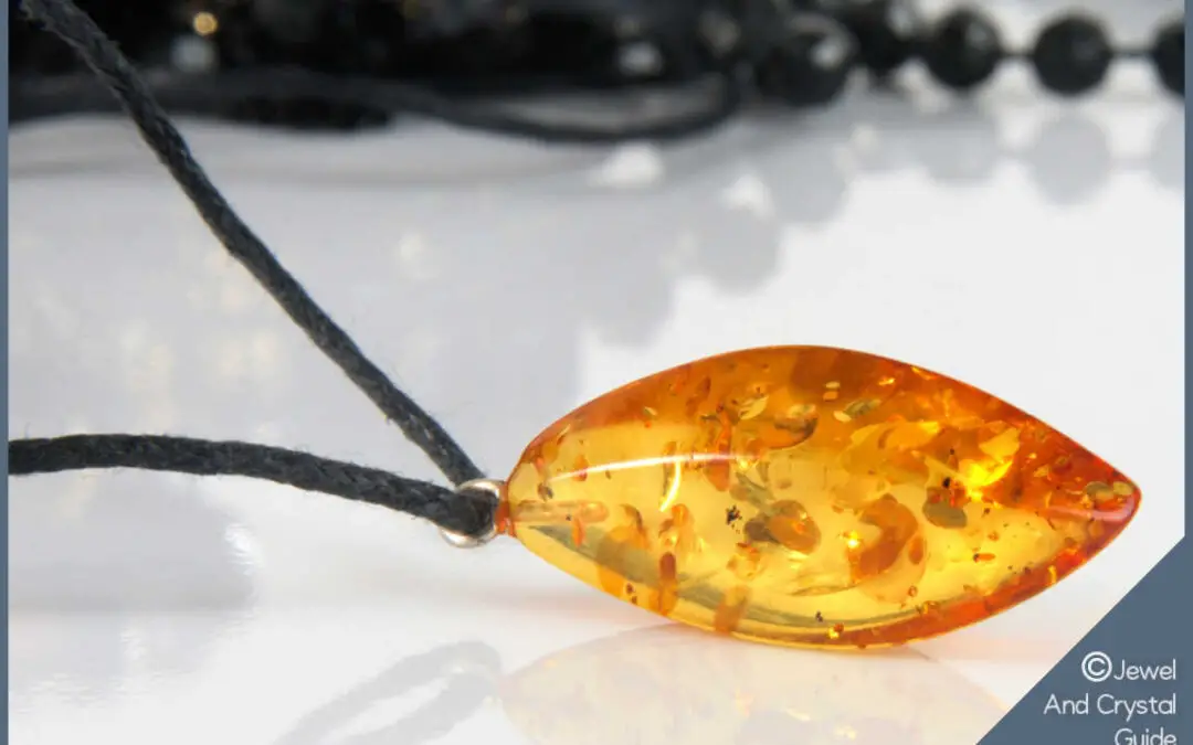 Real Amber – 12 Most Common Questions Answered