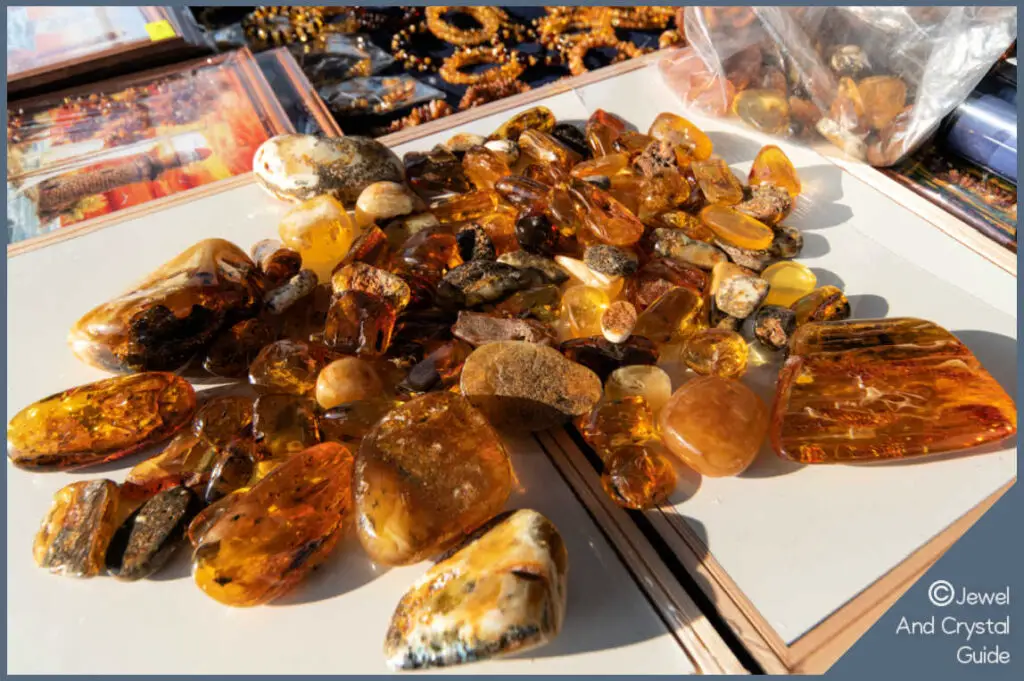 Amber and copal pieces for comparison