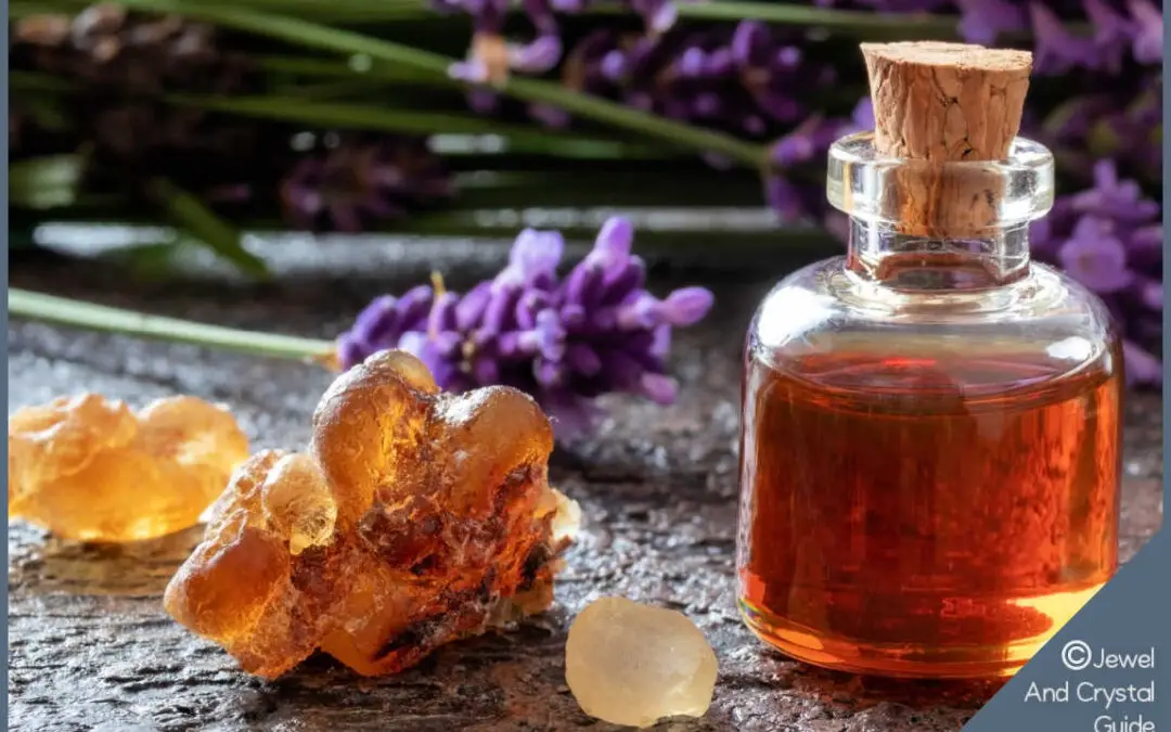 Amber smells like a warm, subtropical forest because…