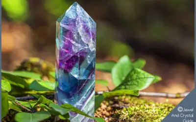 9 Best Places To Keep Fluorite